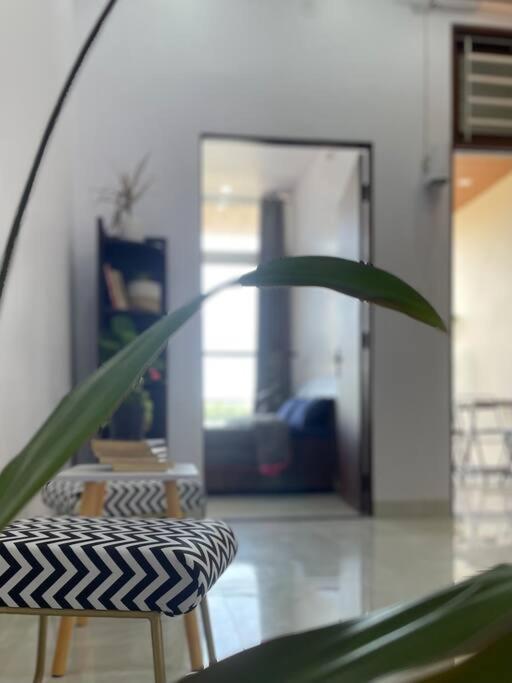 Bark & Bash-Villa-House ชัยปุระ ภายนอก รูปภาพ